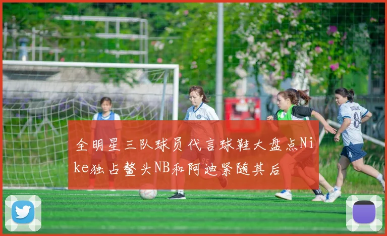 全明星三队球员代言球鞋大盘点Nike独占鳌头NB和阿迪紧随其后