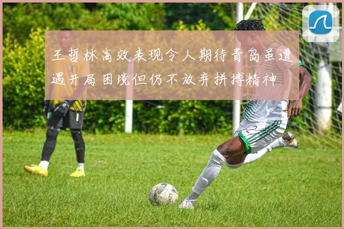 王哲林高效表现令人期待青岛虽遭遇开局困境但仍不放弃拼搏精神