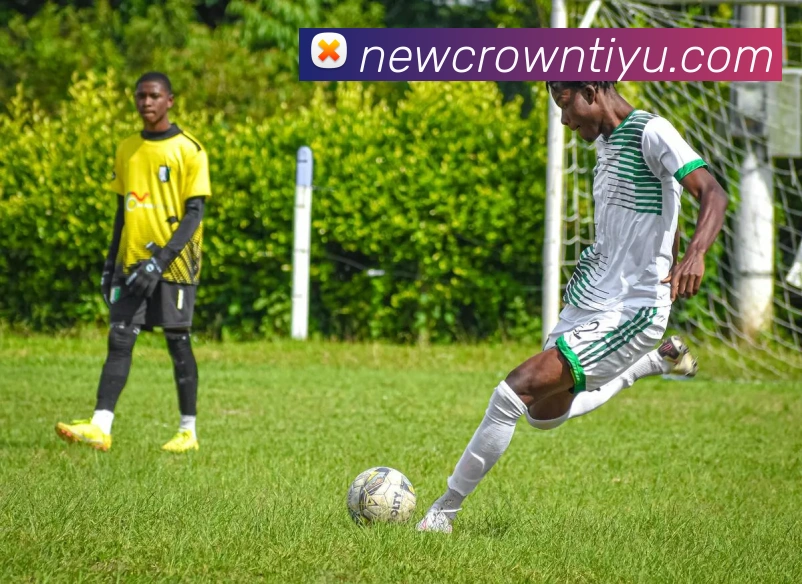 皇冠体育平台生态图